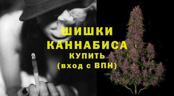 мдпв Гусиноозёрск