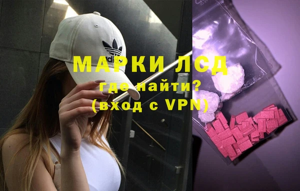 крисы Дмитриев